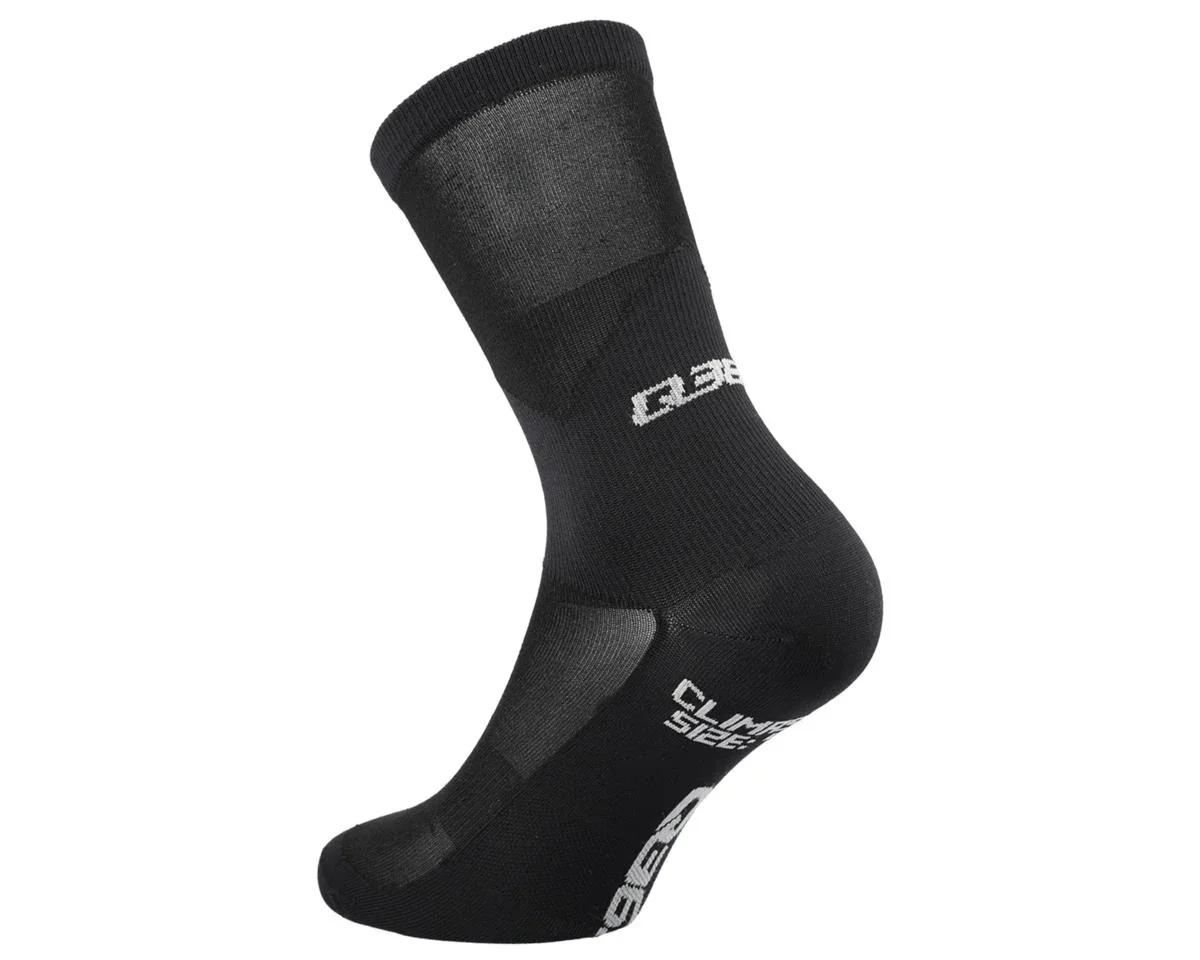Q36.5 Clima 17 Socks (Black) (44-47)